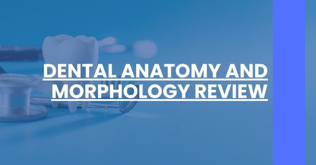 Dental Anatomy And Morphology Review Feature Image